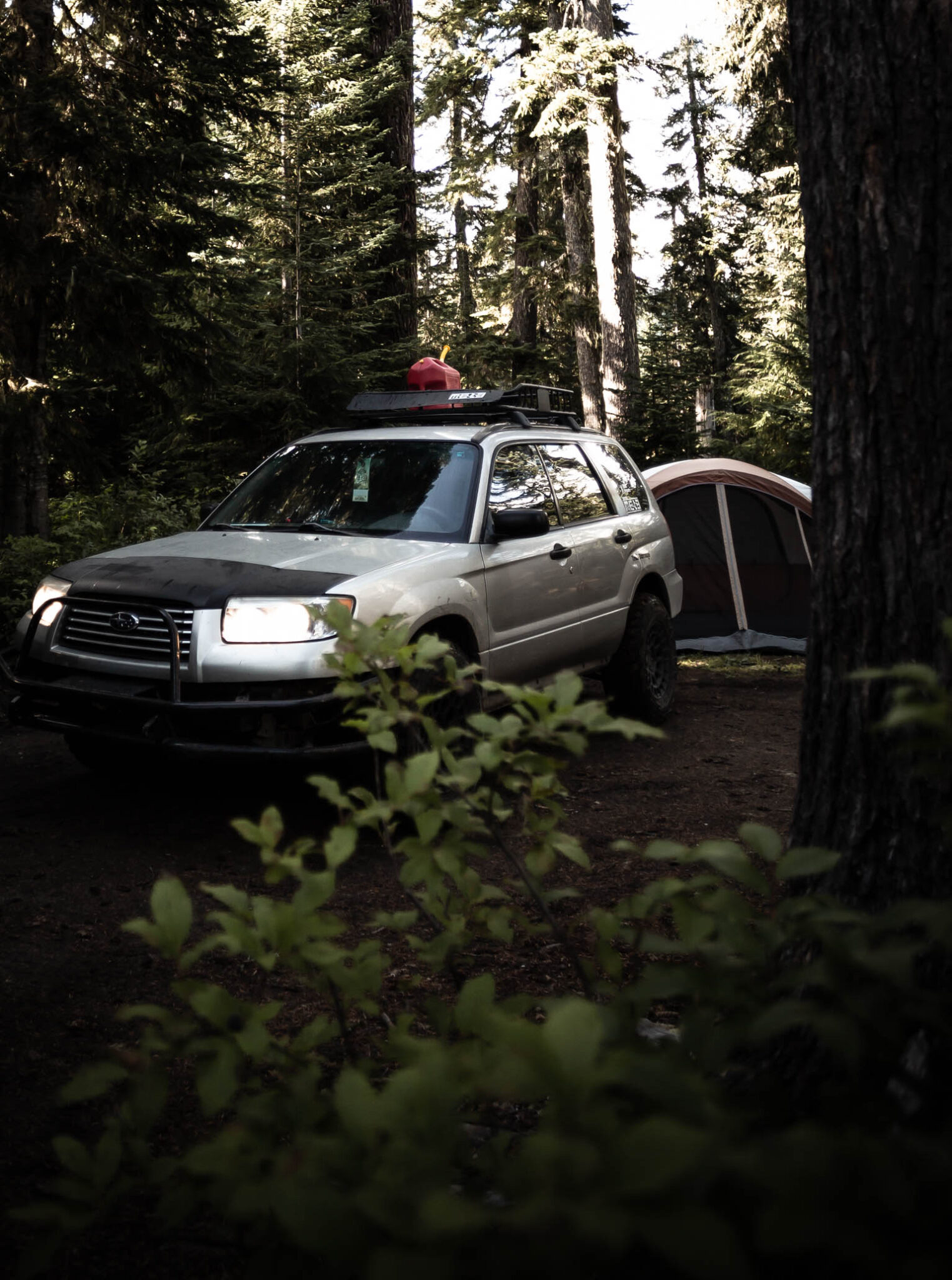 Lifted 2006 subaru forester