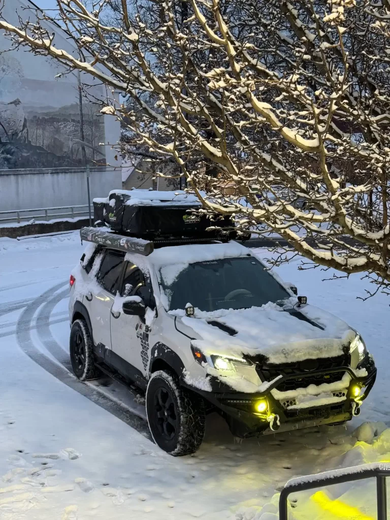 subaru forester wilderness in the snow