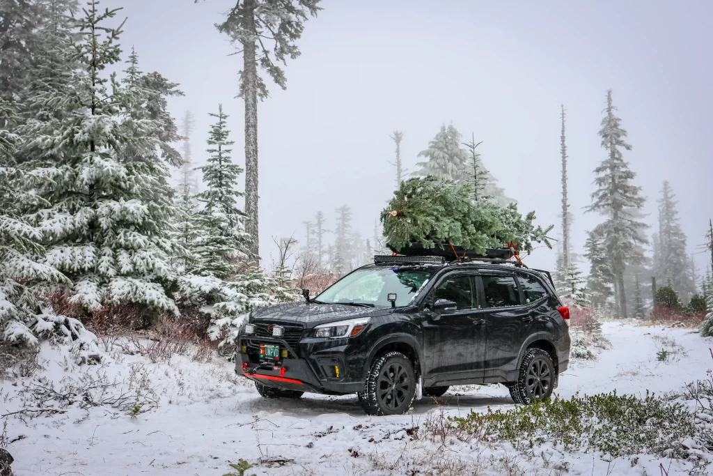 lifted modified subaru forester carrying christmas tree